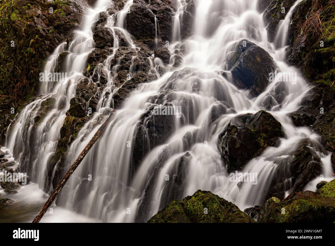 Mary Vine Creek Falls - Sooke, Île de Vancouver, Colombie-Britannique, Canada Banque D'Images