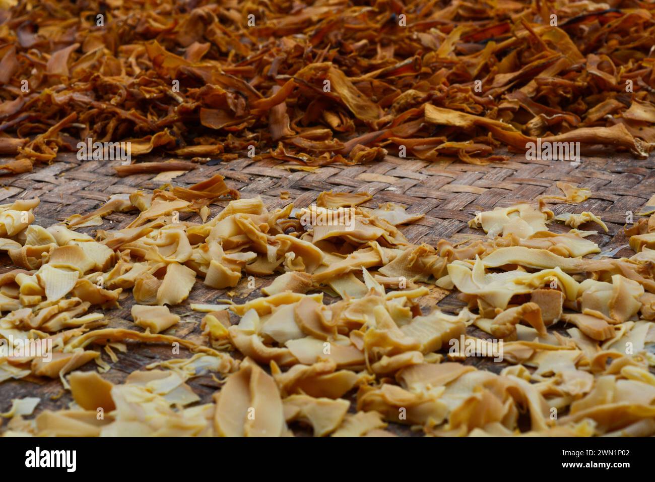 Pousses de bambou séchées déchiquetées isolées sur fond brun. Banque D'Images