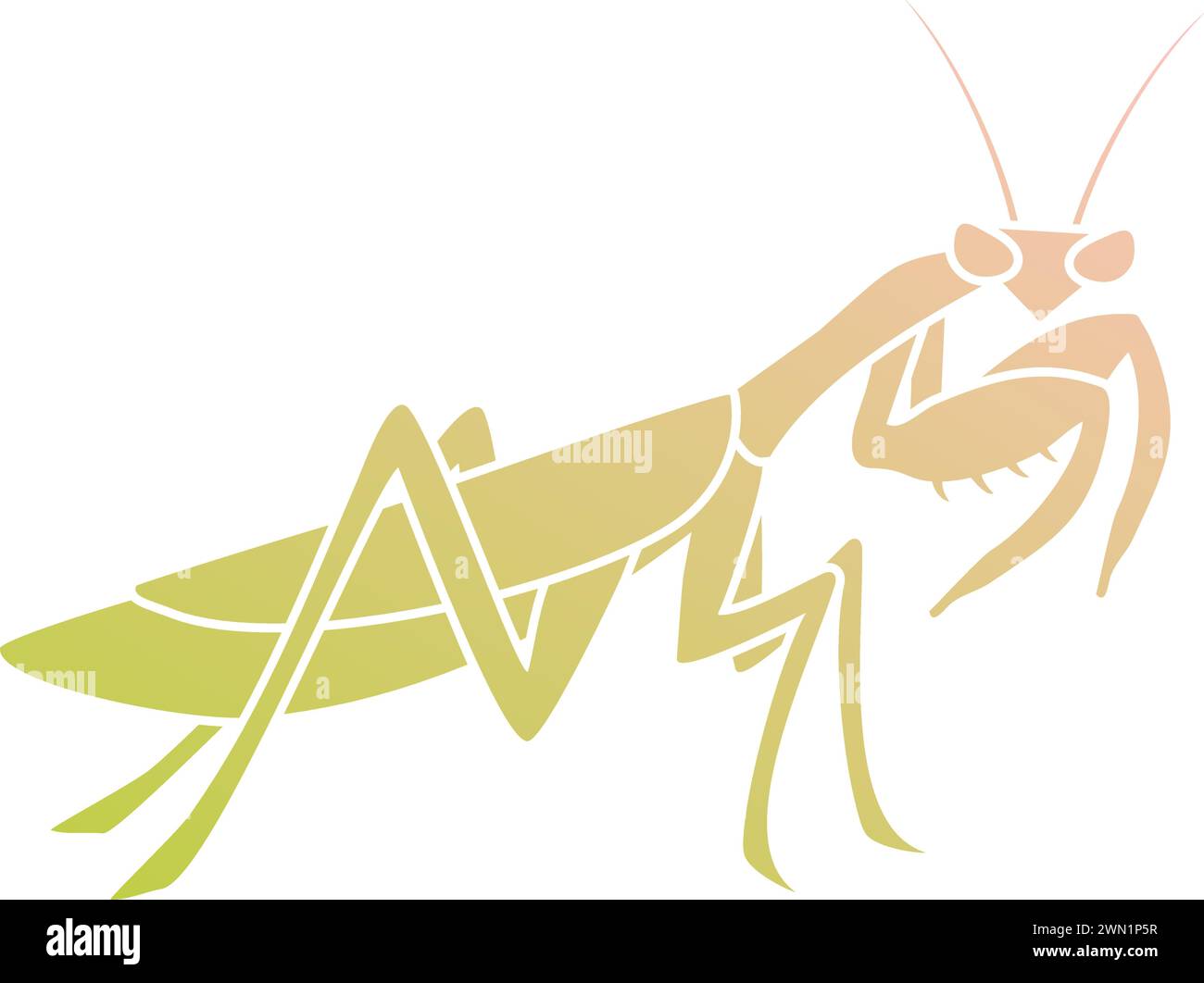 Illustration de la mantis créative Illustration de Vecteur