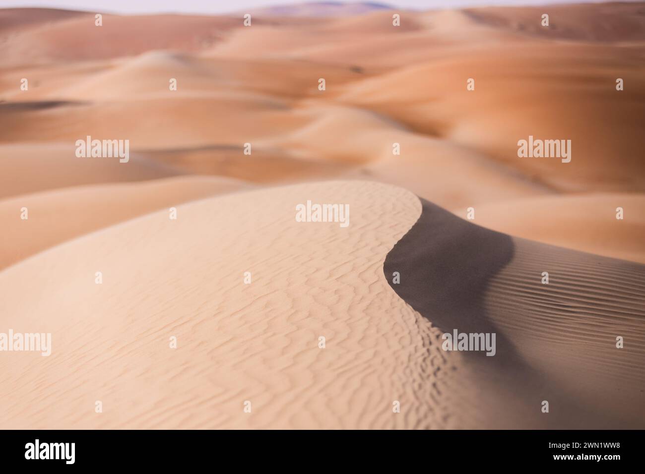 Paysage lors de l'étape 2 du défi du désert d'Abu Dhabi 2024, le 28 février 2024 entre Al Dhannah et Mzeerâ&#x80;&#x99;ah, Émirats arabes Unis Banque D'Images