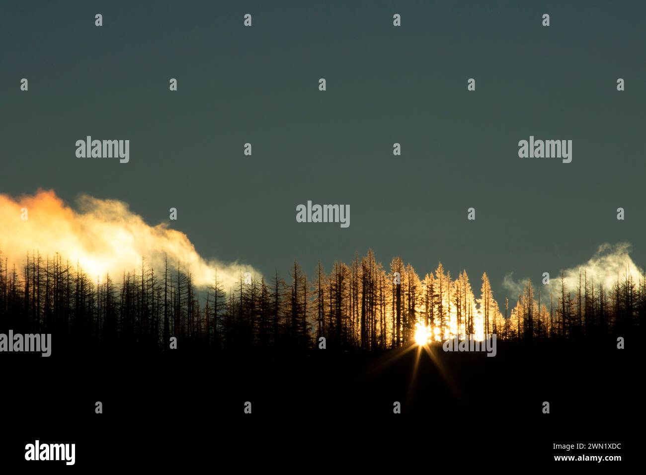 Black Crater lever du soleil depuis le sentier de loisirs national de Lava River, la forêt nationale de Willamette, le chemin panoramique national de McKenzie Pass-Santiam Pass, Oregon Banque D'Images
