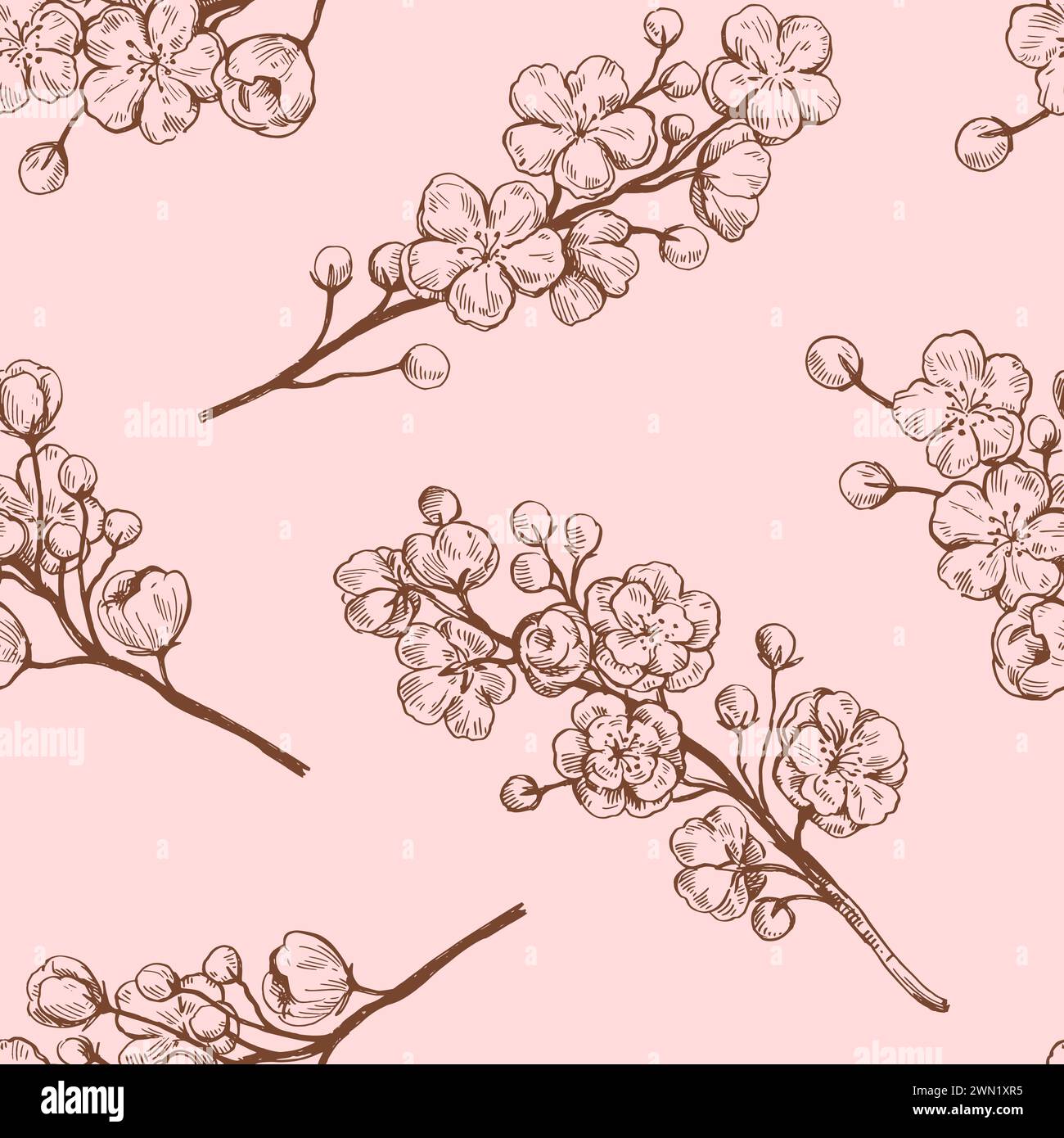 Sakura floraison des branches. Dessin à l'encre de contour noir et blanc. Illustration vectorielle. Illustration de Vecteur