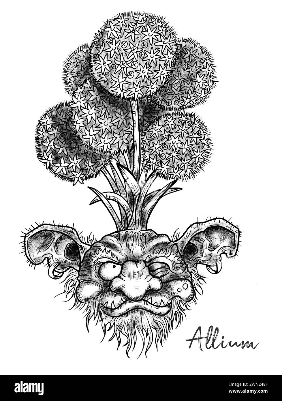 Illustrations gravées dessinées à la main avec drôle de démon ou visage de gnome comme racine de belle fleur de printemps d'Allium isolé sur blanc, jardin fantastique et mon Banque D'Images