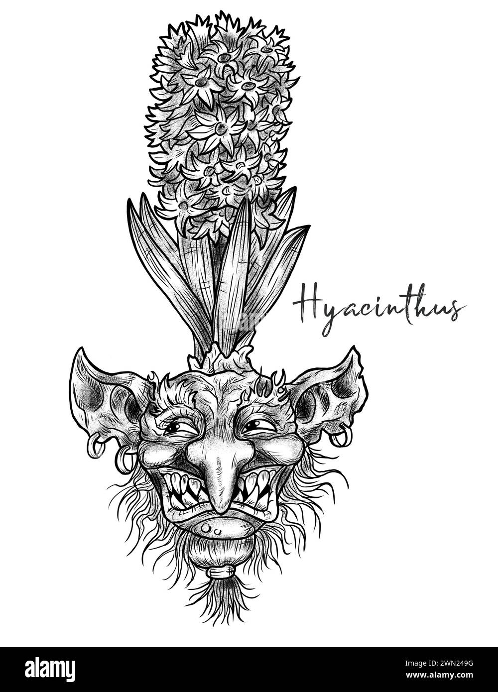 Illustrations gravées dessinées à la main avec drôle de démon ou visage de gnome comme racine de belle fleur de printemps de Hyacinthus isolé sur blanc, jardin fantastique an Banque D'Images