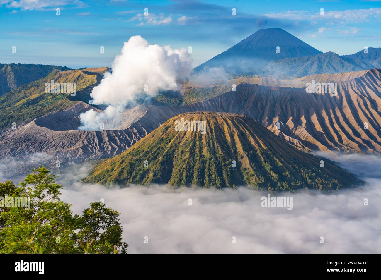 Volcan Mont bromo pendant le lever du soleil Banque D'Images