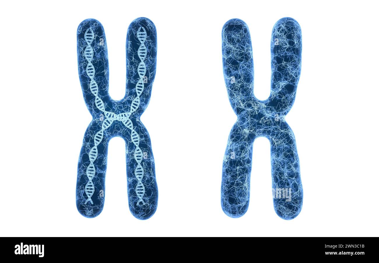 Chromosome avec lignes de structure bleues, rendu 3D. Illustration 3D. Banque D'Images