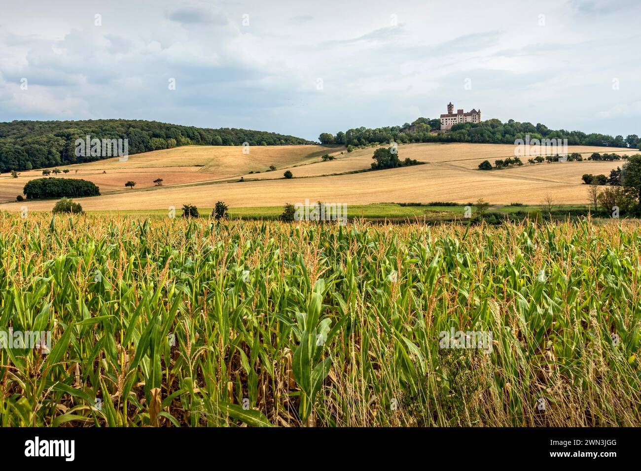 Château de Ronneburg, château de chevalier du moyen âge, champ de maïs, champs de céréales récoltés, champ, colline, forêt, paysage culturel asséché Banque D'Images