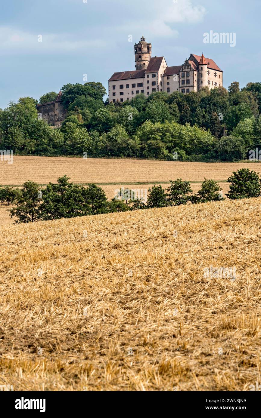 Château de Ronneburg, château de chevalier du moyen âge, champs de céréales récoltés, champ, colline, forêt, paysage culturel sec, Ronneburger Huegelland Banque D'Images