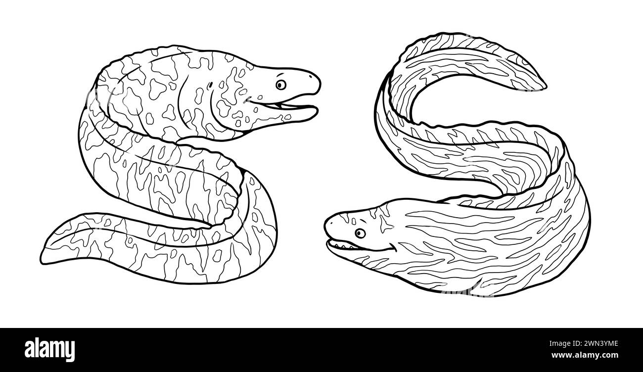 Anguille de Moray drôle à colorer. Modèle pour un livre de coloriage avec du poisson. Modèle de coloriage pour les enfants. Banque D'Images
