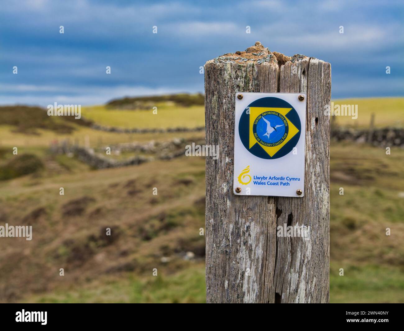 Anglesey, Royaume-Uni - 11 janvier 2024 : un panneau en bois altéré indiquant la voie pour les marcheurs sur le Wales Coast Path sur l'île Anglesey dans le nord du pays de Galles Banque D'Images