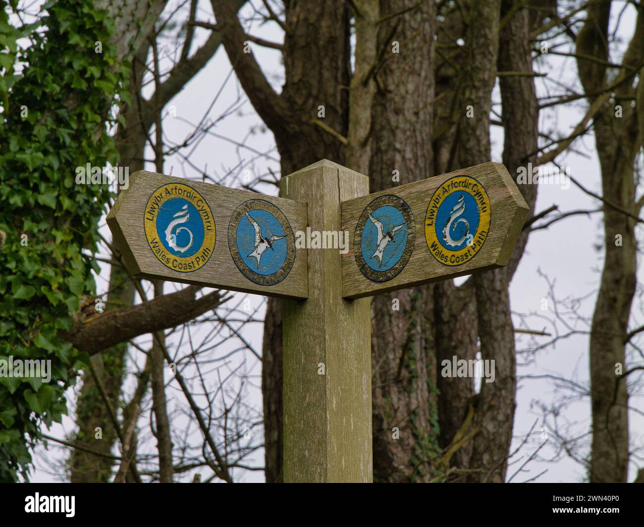 Anglesey, Royaume-Uni - 11 janvier 2024 : un panneau en bois altéré indiquant la voie pour les marcheurs sur le Wales Coast Path sur l'île Anglesey dans le nord du pays de Galles Banque D'Images