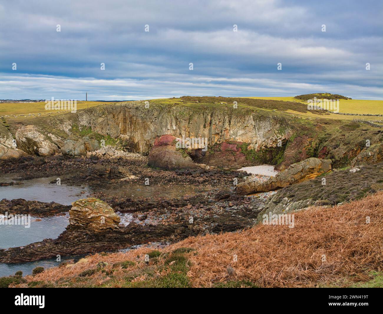 Falaises côtières colorées sur le Wales Coast Path. Les roches sont du groupe New Harbour - schiste mica et psammite, substrat rocheux métamorphique Banque D'Images