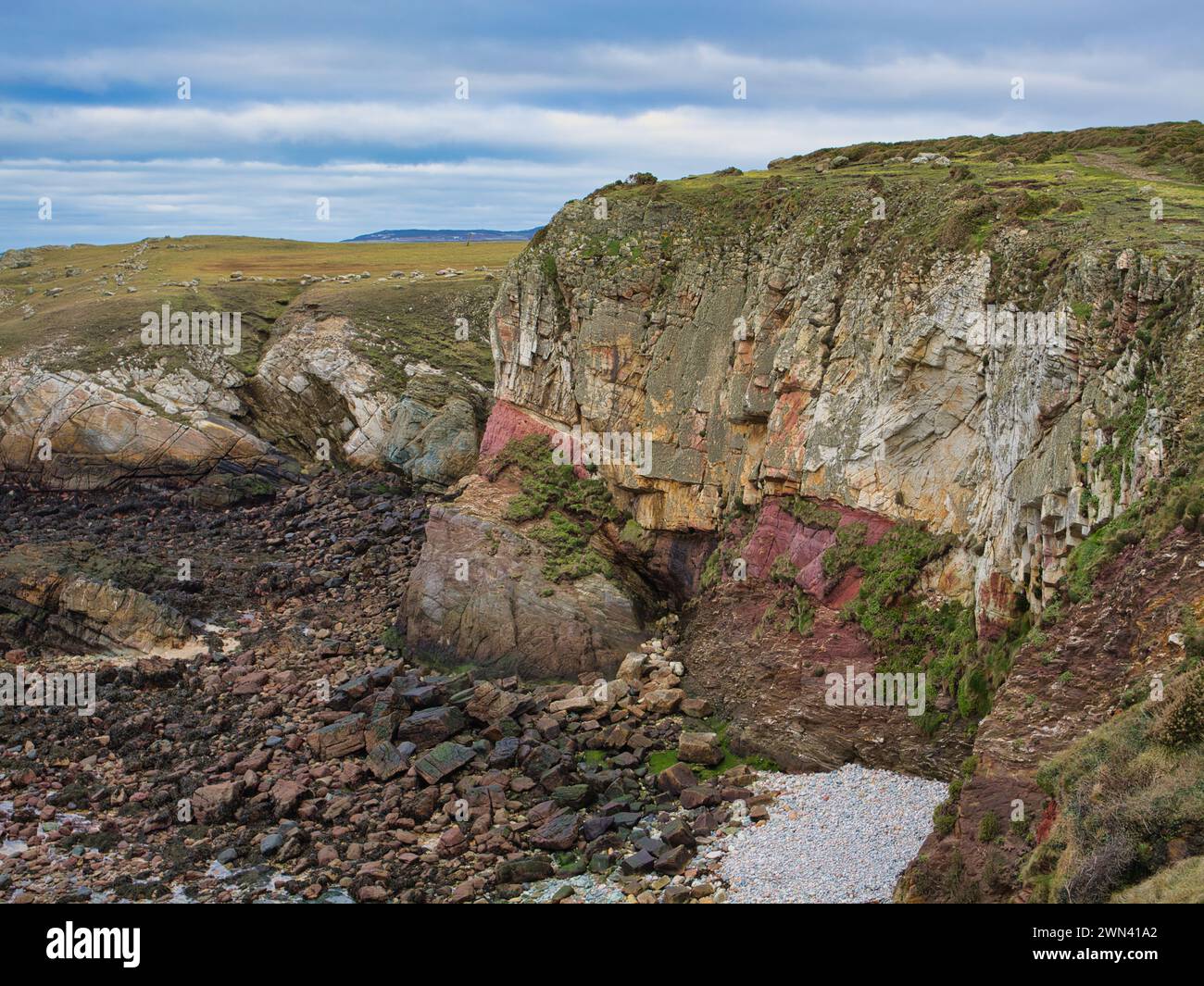Falaises côtières colorées sur le Wales Coast Path. Les roches sont du groupe New Harbour - schiste mica et psammite, substrat rocheux métamorphique Banque D'Images
