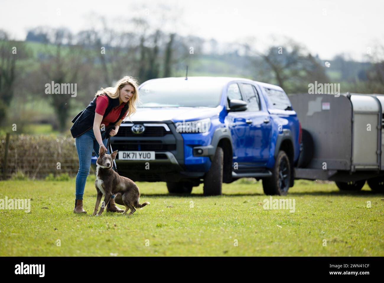 10/04/22 Becky Dykes, mouton de race rare et dresseur de frontière et éleveur avec sa Toyota Hilux, Ashbourne, Derbyshire. Tous droits réservés : F Stop Pr Banque D'Images