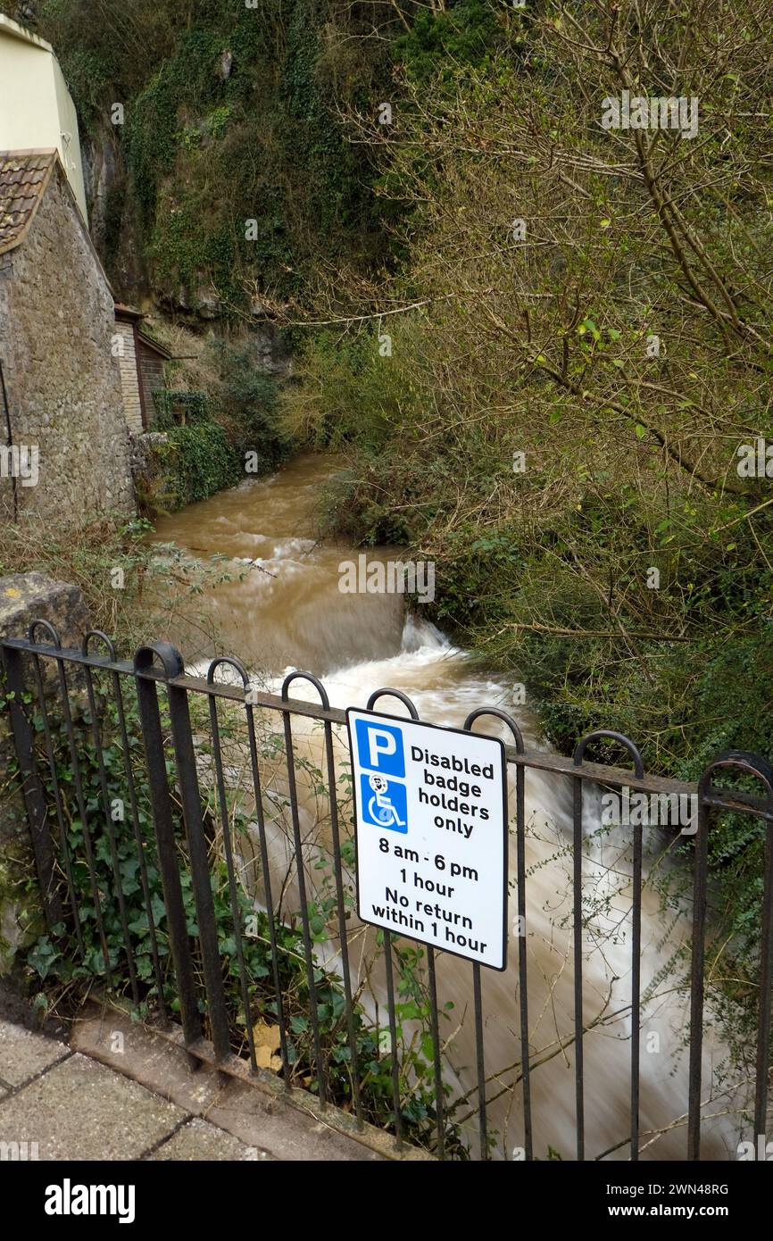 Februart 2024 - gorge Waters in full flow passé le café et le parking pour handicapés pour les détenteurs de badge seulement à Cheddar, Somerset, Angleterre, Royaume-Uni. Banque D'Images