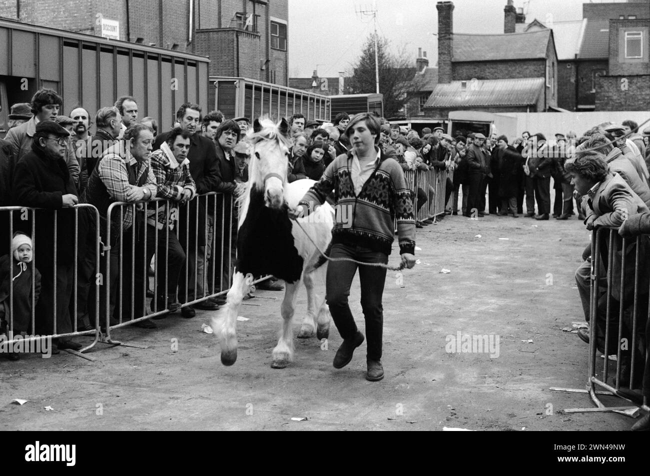 Southall Weekly Wednesday Horse Market. Danny Stubbings, âgé de 17 ans, avec un cheval sur la rêne de tête, montrant le cheval avant la vente aux enchères. Son grand-père faisait du commerce de chevaux et la famille courait le stand de thé pendant que vous conduisiez dans la cour de vente aux enchères. Southall, West London, Ealing, Angleterre années 1983 1980 Royaume-Uni HOMER SYKES Banque D'Images