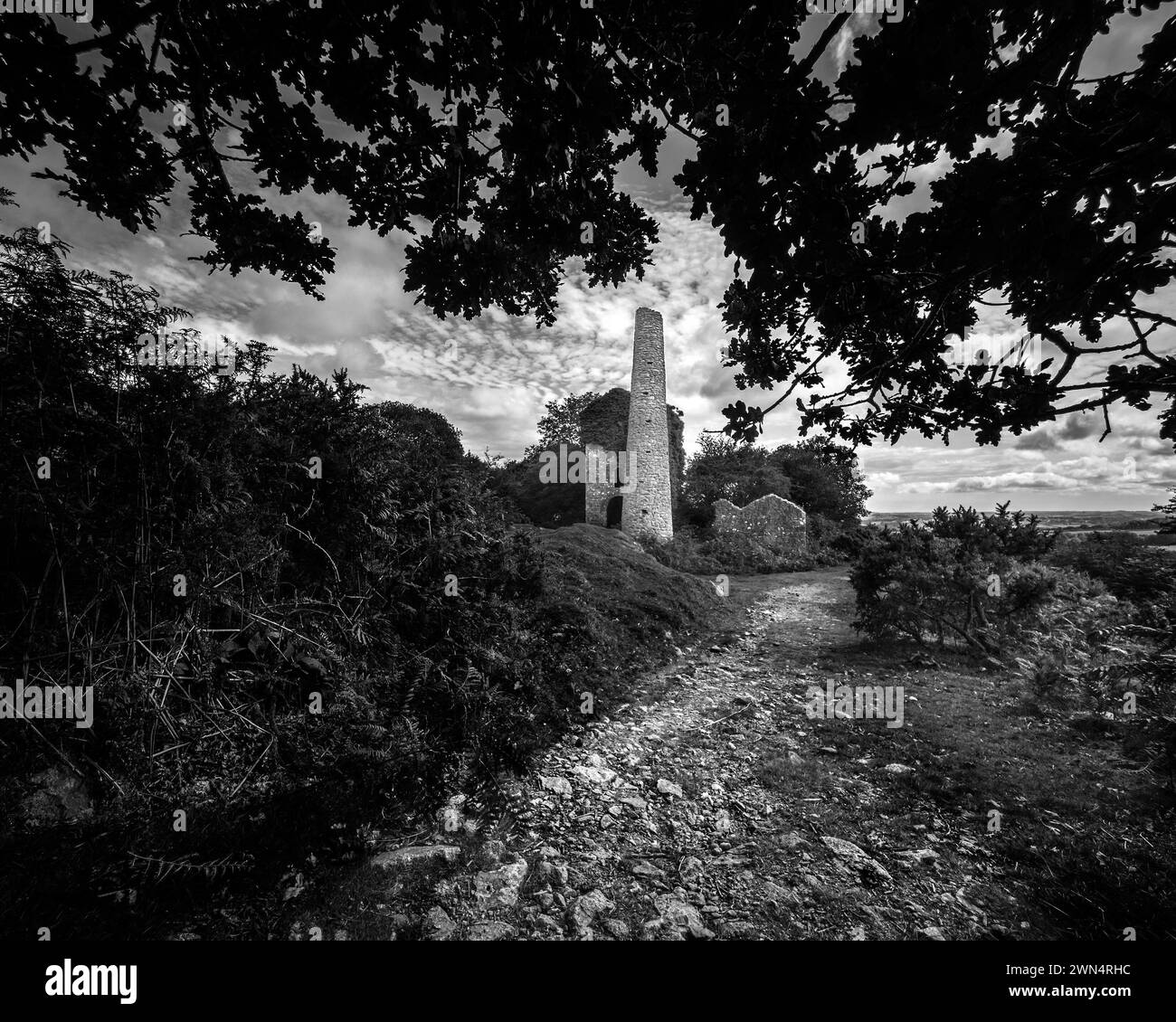 Mine de cuivre et d'étain de Cornouailles, lande de Bodmin, abandonnée et en ruines Banque D'Images