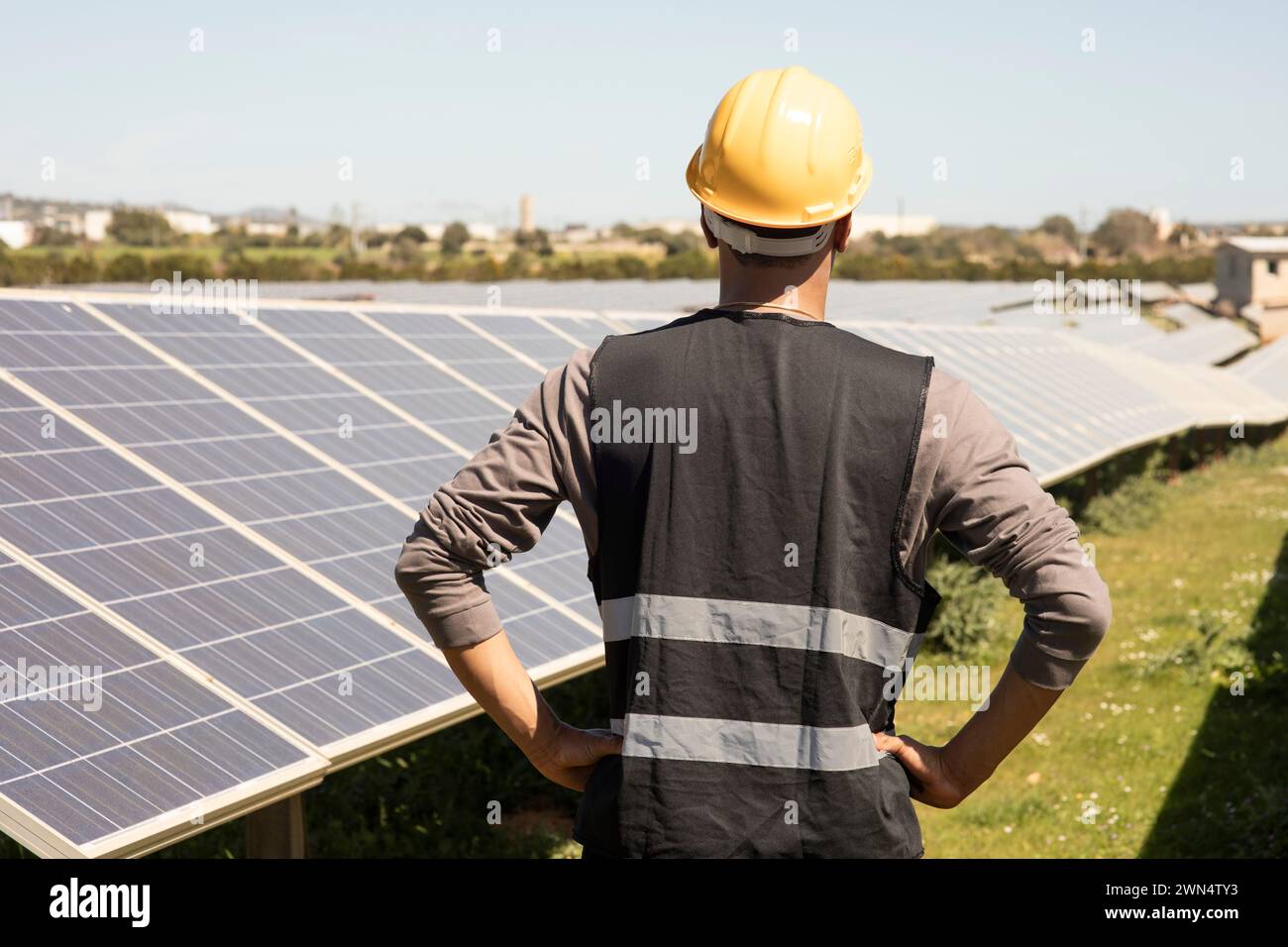 Vue arrière de l'ingénieur masculin avec des bras akimbo regardant des panneaux solaires dans le champ Banque D'Images