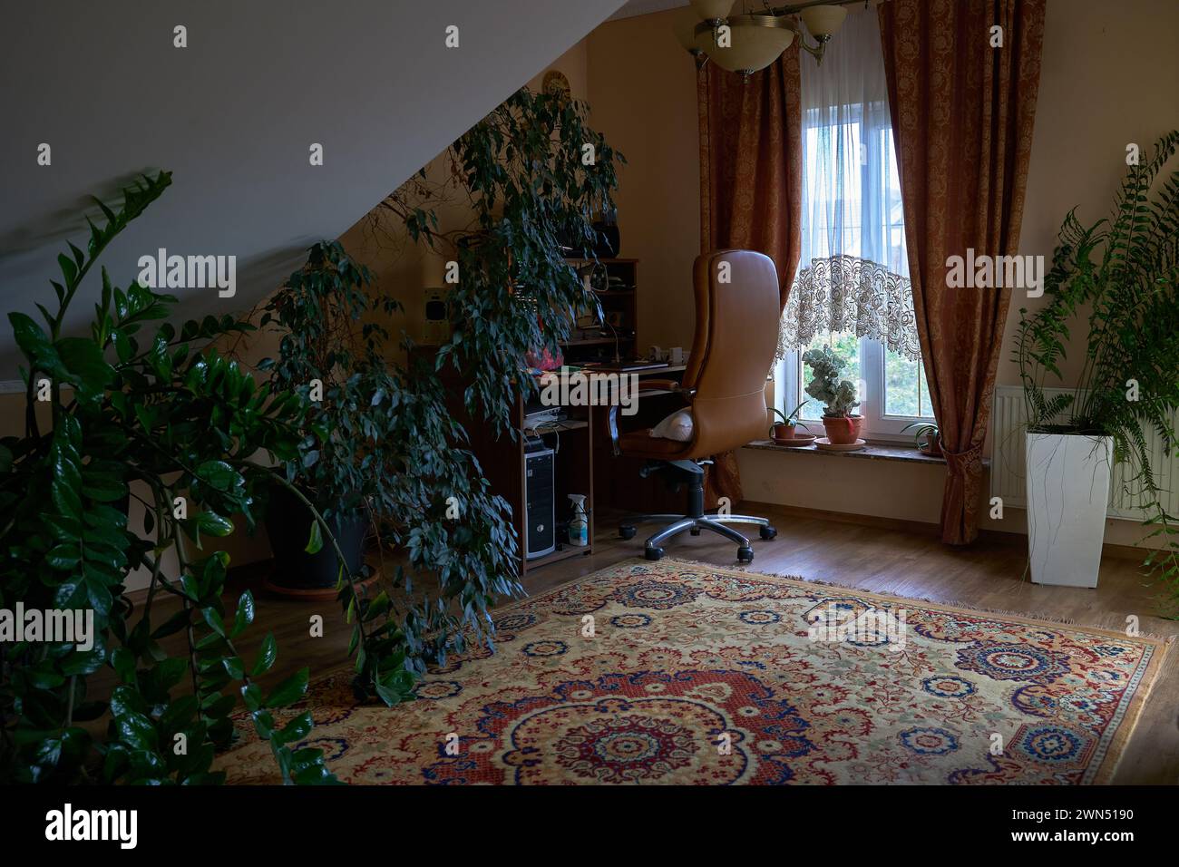 Lieu de travail à domicile : table, ordinateur, plantes à serre, fauteuil marron près de la fenêtre. Maison moderne lieu de travail confortable. Intérieur réel. Banque D'Images