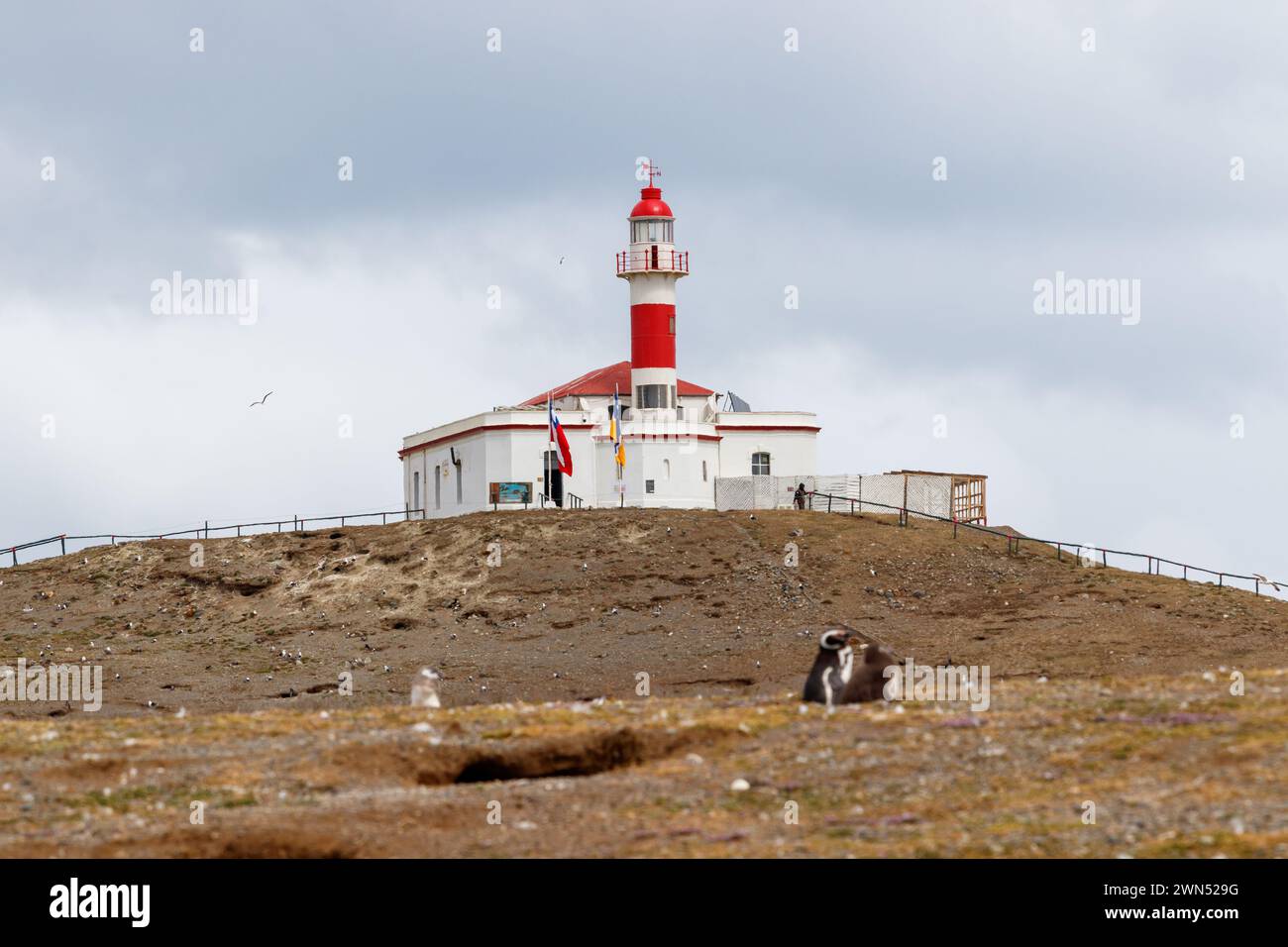 Faro Isla Magdalena, phare de signalisation maritime au célèbre monument national de la réserve des pingouins sur l'île Magdalena dans le détroit de Magellan au large de Punta AR Banque D'Images