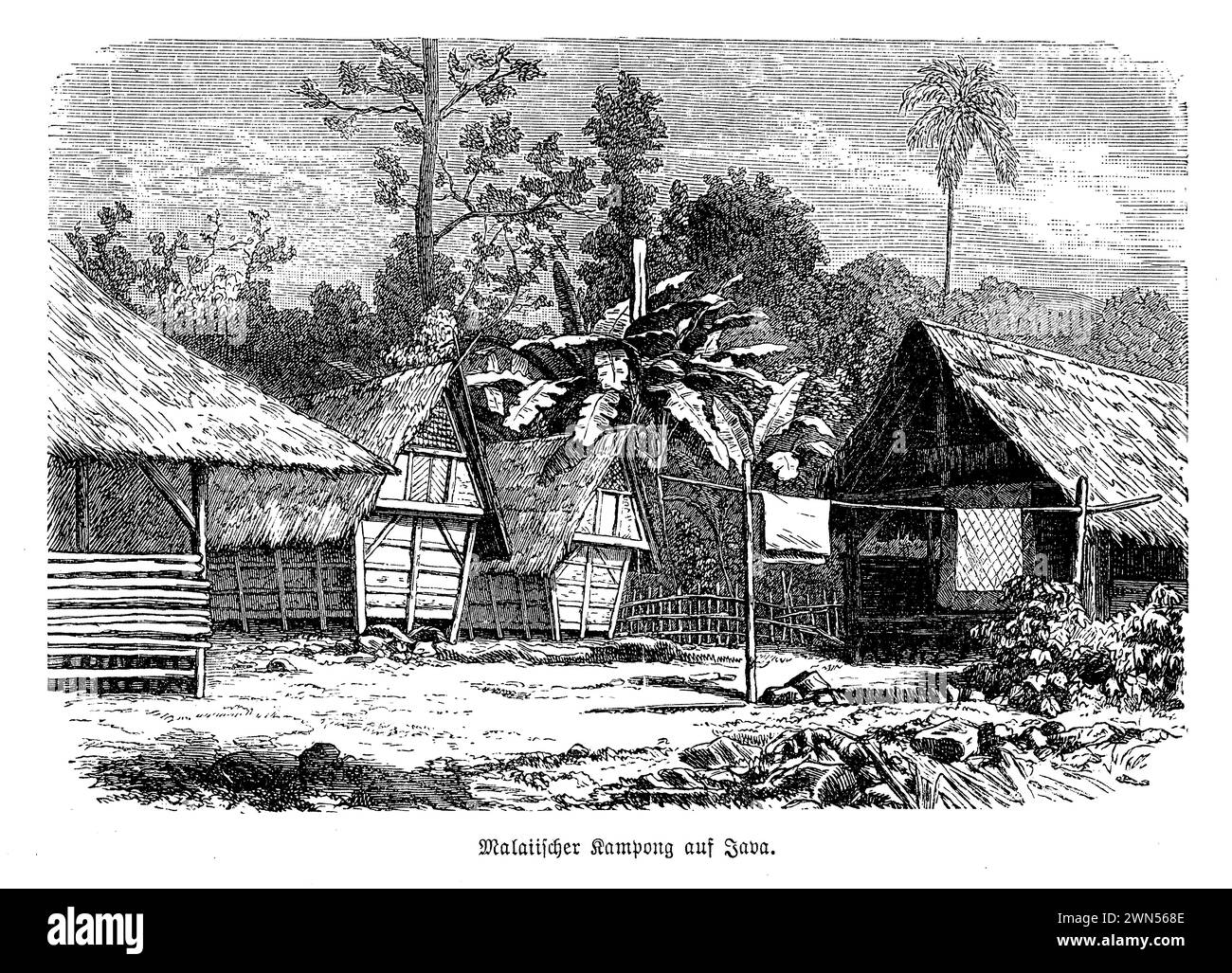 Kampung Malay Java incarne la riche tapisserie de l'échange culturel en Asie du Sud-est, où le style de vie traditionnel malais s'entrecroise avec les influences javanaises. Niché dans un cadre tropical luxuriant, ce village est un musée vivant d'architecture, de cuisine et de coutumes qui reflètent des siècles d'histoire partagée et d'échanges culturels. Les maisons en bois échancrées, ornées de sculptures complexes, témoignent d'une profonde révérence pour la nature et l'artisanat. L'air est rempli du parfum des épices et du son de la musique gamelan, créant une atmosphère d'harmonie commune et de tradit intemporel Banque D'Images