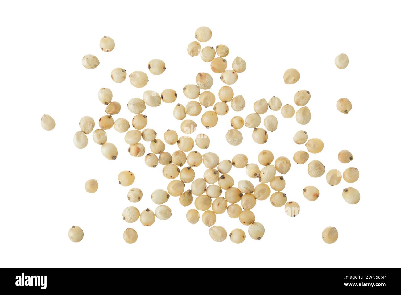Graines de sorgho isolées sur fond blanc. Vue de dessus. Pose à plat. Banque D'Images