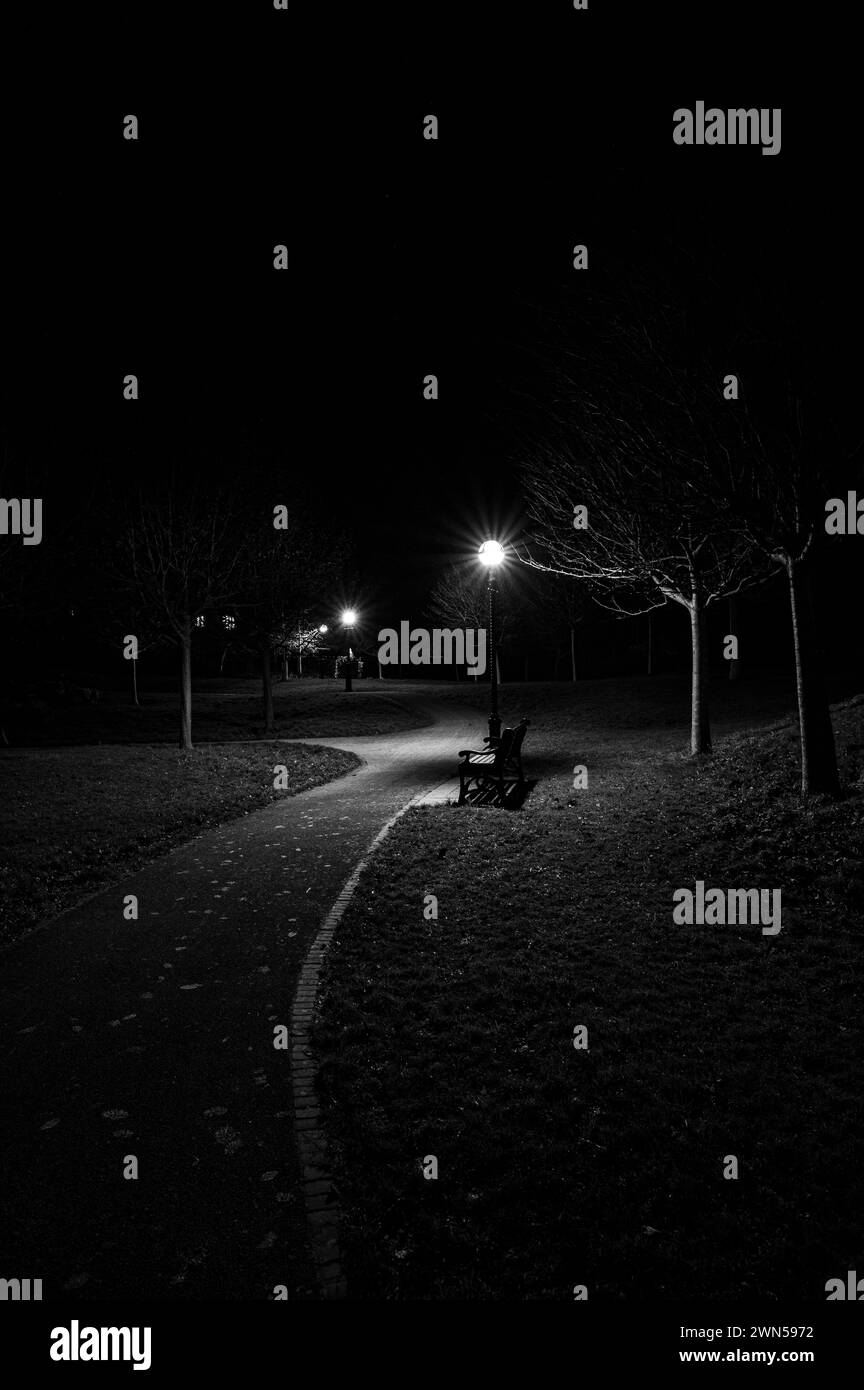 Vue d'un parc dans une nuit d'hiver avec sentier menant à un banc vide illuminé par des lampadaires Banque D'Images