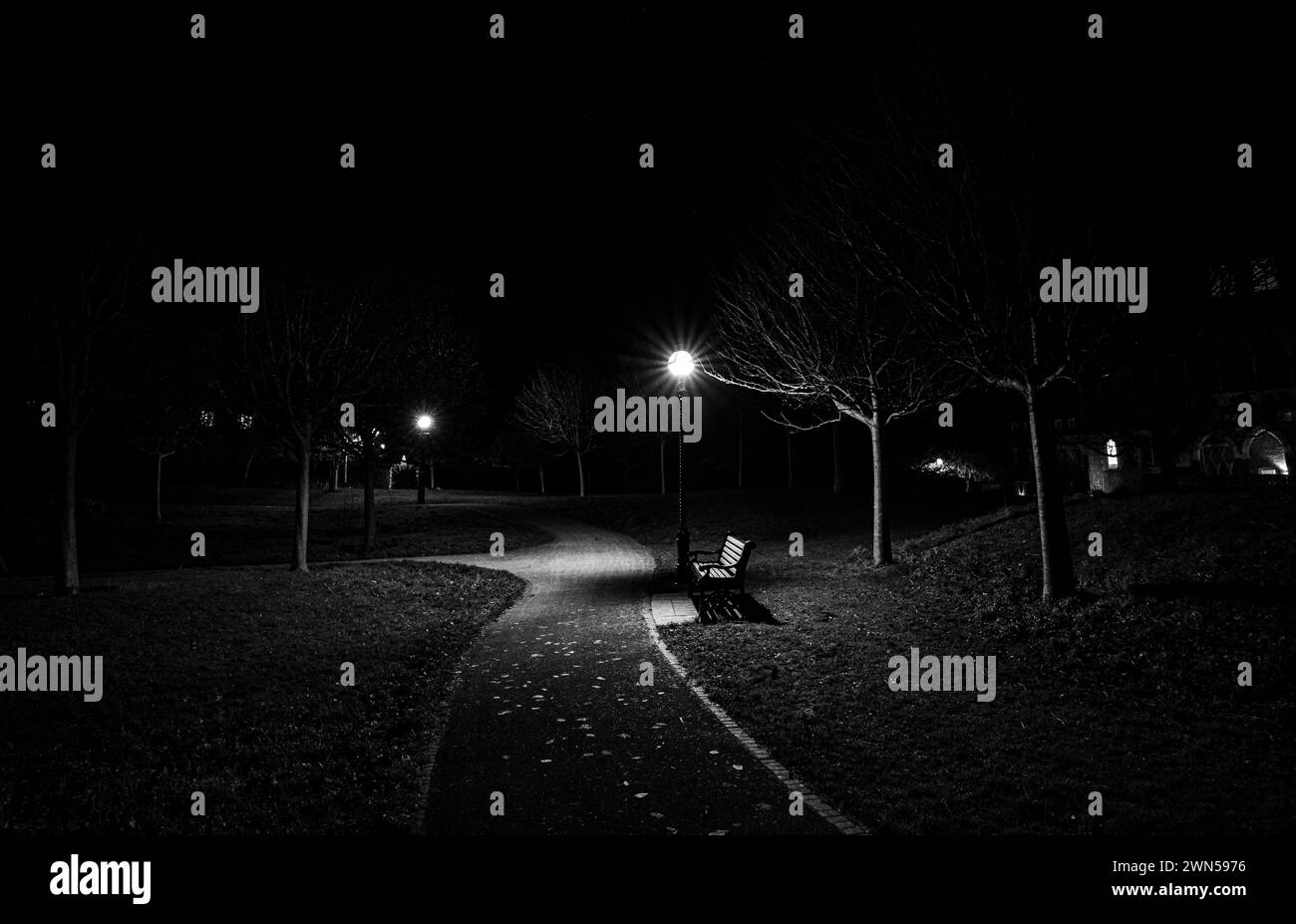Vue d'un parc dans une nuit d'hiver avec sentier menant à un banc vide illuminé par des lampadaires Banque D'Images