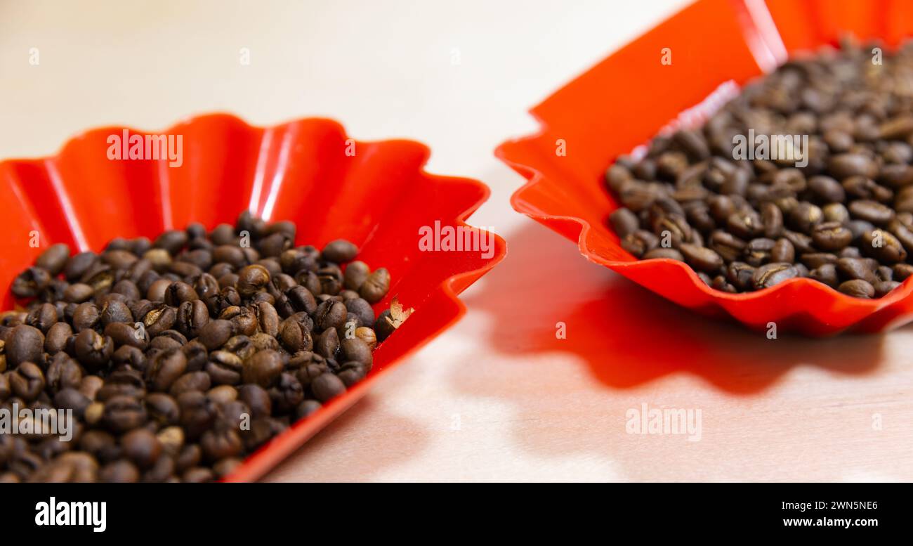 Les grains de café arabica torréfiés sont dans des plateaux en plastique rouge, photo en gros plan avec flou sélectif Banque D'Images