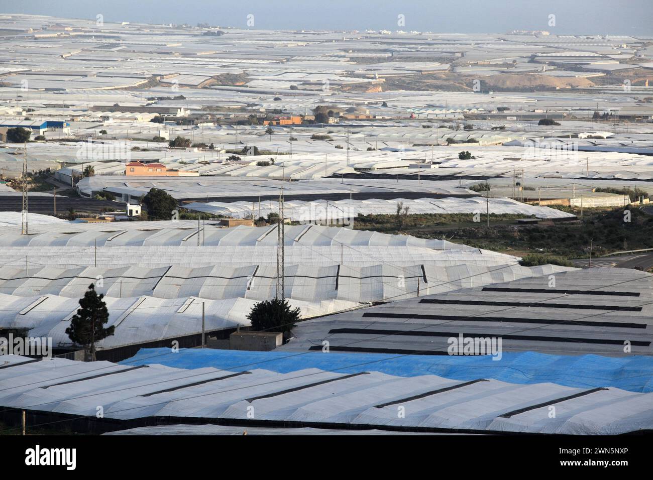 28/03/13 ..vue des serres en plastique près d'Almeria, Espagne...copie complète ici : ..http://www.fstoppress.com/articles/almeria-greenhouses/..As vous vous glissez dedans Banque D'Images