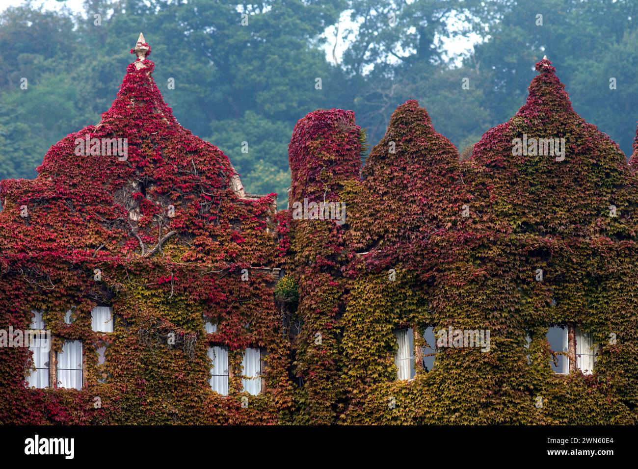 05/09/14 Une superbe exposition de couleurs d'automne sur une crampon de virginie a grandi sur les murs et sur le toit de l'Abbey Hotel Great Malvern, Worc Banque D'Images