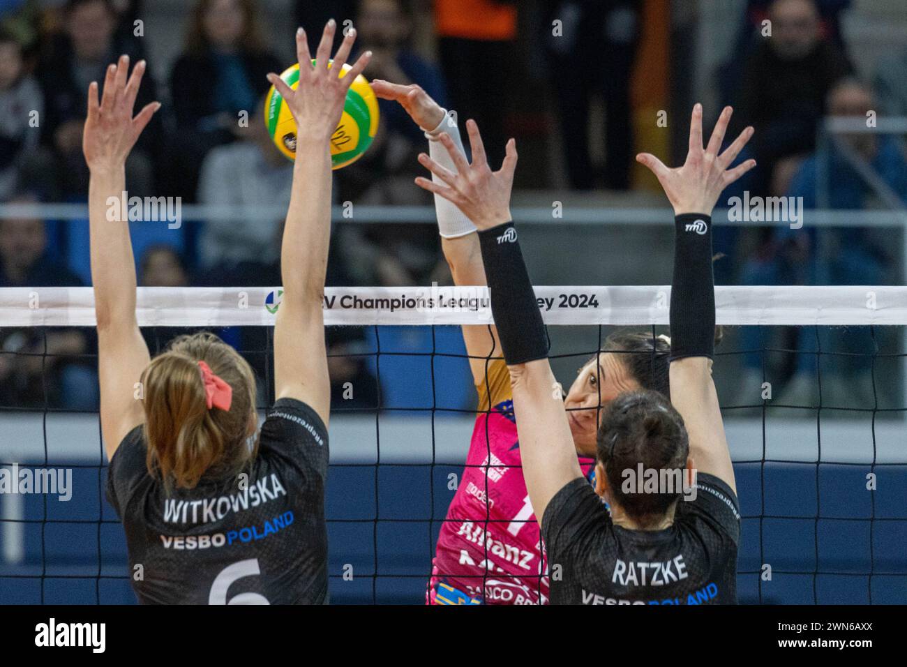 Milan, Italie. 29 février 2024. Helena Cazaute (Allianz VV Milano) pendant les quarts de finale de la Ligue des Champions féminine entre Allianz VeroVolley Milano et ?KS Commercecon ?odz à Allianz Cloud, Milan, Italie le 29 février 2024 pendant les quarts de finale - Allianz VeroVolley Milano vs Lodz, match de volleyball féminin de la Ligue des Champions CEV à Milan, Italie, février 29 2024 crédit : Agence photo indépendante/Alamy Live News Banque D'Images