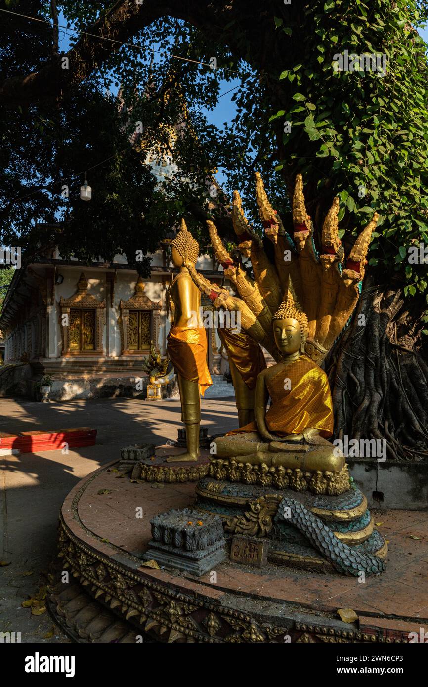 Vat Haysoke, également écrit Wat Haysok - son histoire remonte au 19ème siècle quand il a été construit sous le règne du roi Zakarine. Le temple est R Banque D'Images