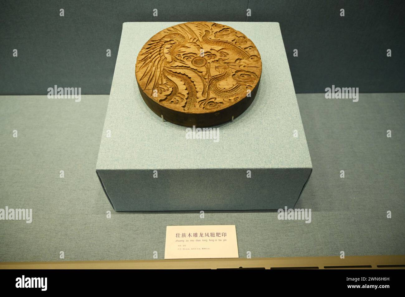 NANNING, CHINE - 27 FÉVRIER 2024 - Une collection de plus de 70 éléments de dragon reliques exposées au Musée des nationalités du Guangxi à Nanning Banque D'Images