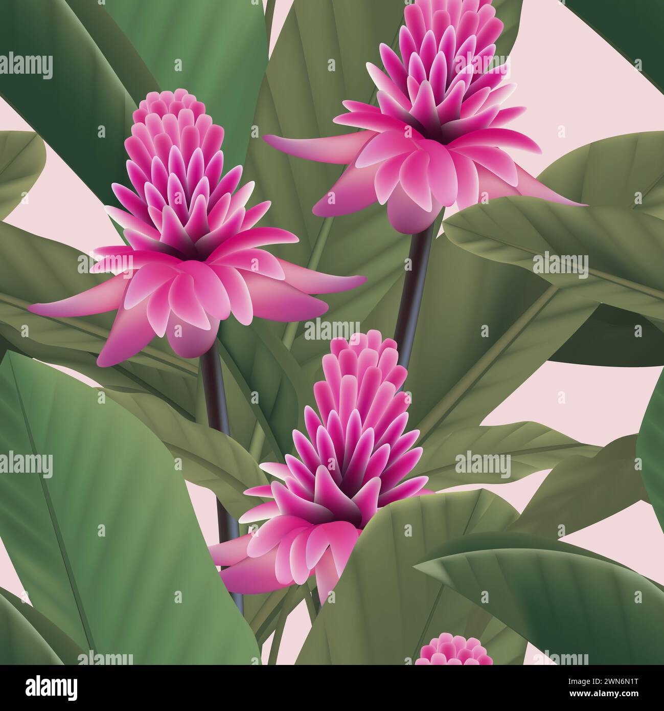 Gingembre rouge avec des feuilles. Diverses feuilles abstraites tropicales. Motif sans couture. fond tropical de fleurs oranges, feuilles vertes, papier peint, couverture, w Banque D'Images