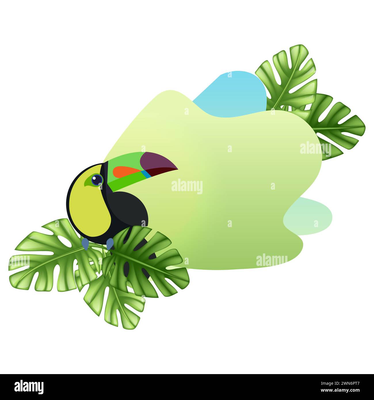 Palmier tropical, feuilles de monstera et toucan, plate-forme pour la présentation des produits. Feuille tropicale d'été. jungle exotique, fond d'été. Banque D'Images