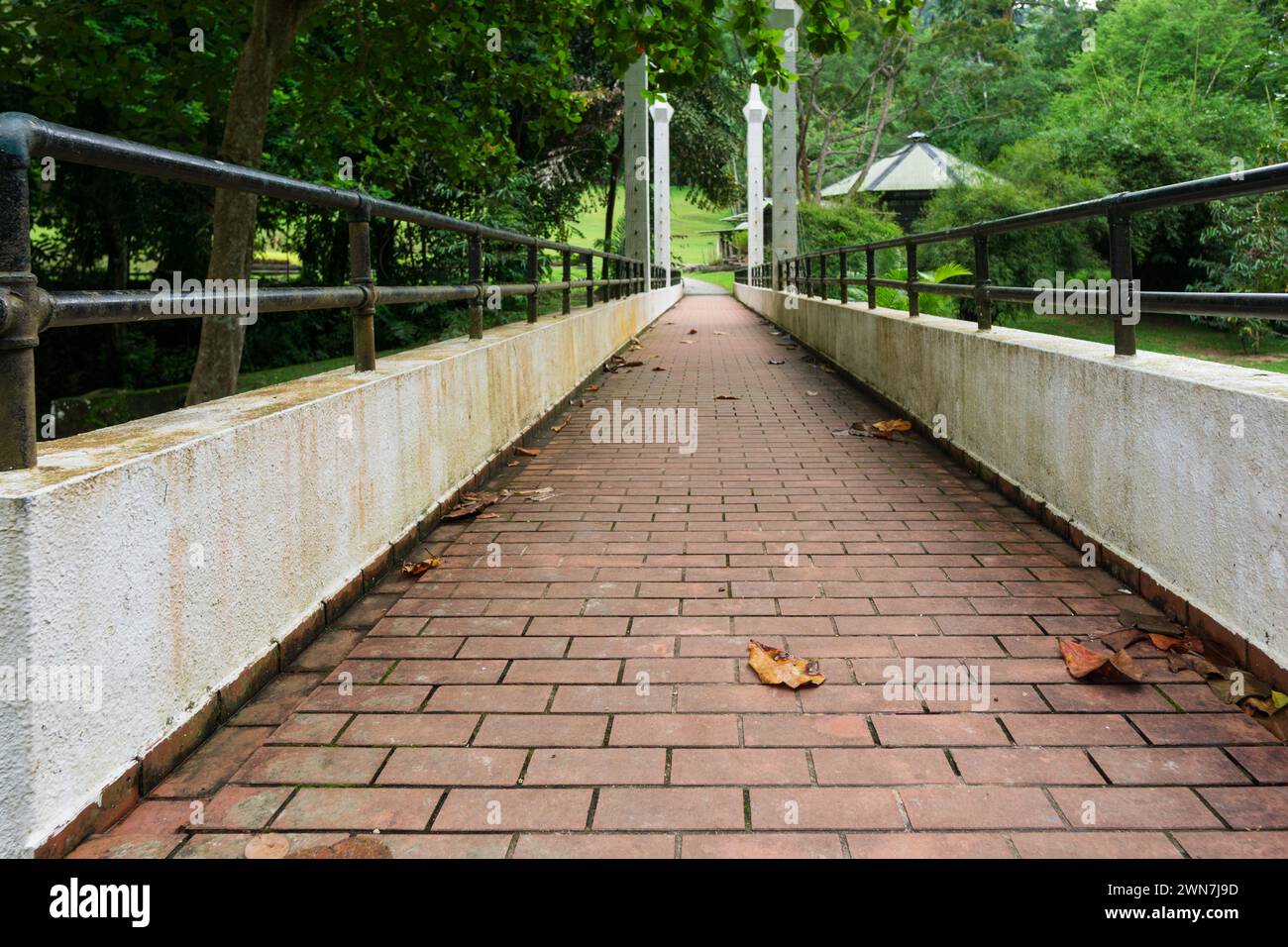 Jardin botanique. Penang. Malaisie Banque D'Images