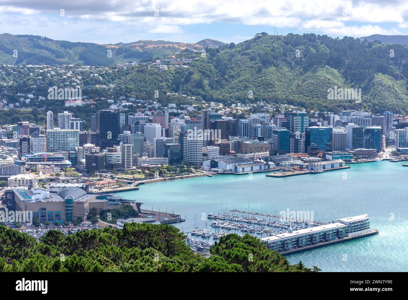 Vue sur la ville et le port depuis Mt Victoria Lookout, Wellington, Nouvelle-Zélande Banque D'Images