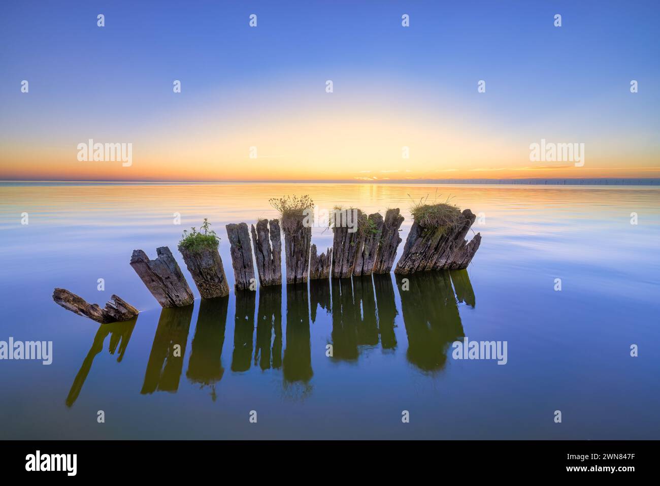 Toujours debout - zonsondergang IJsselmeer Banque D'Images