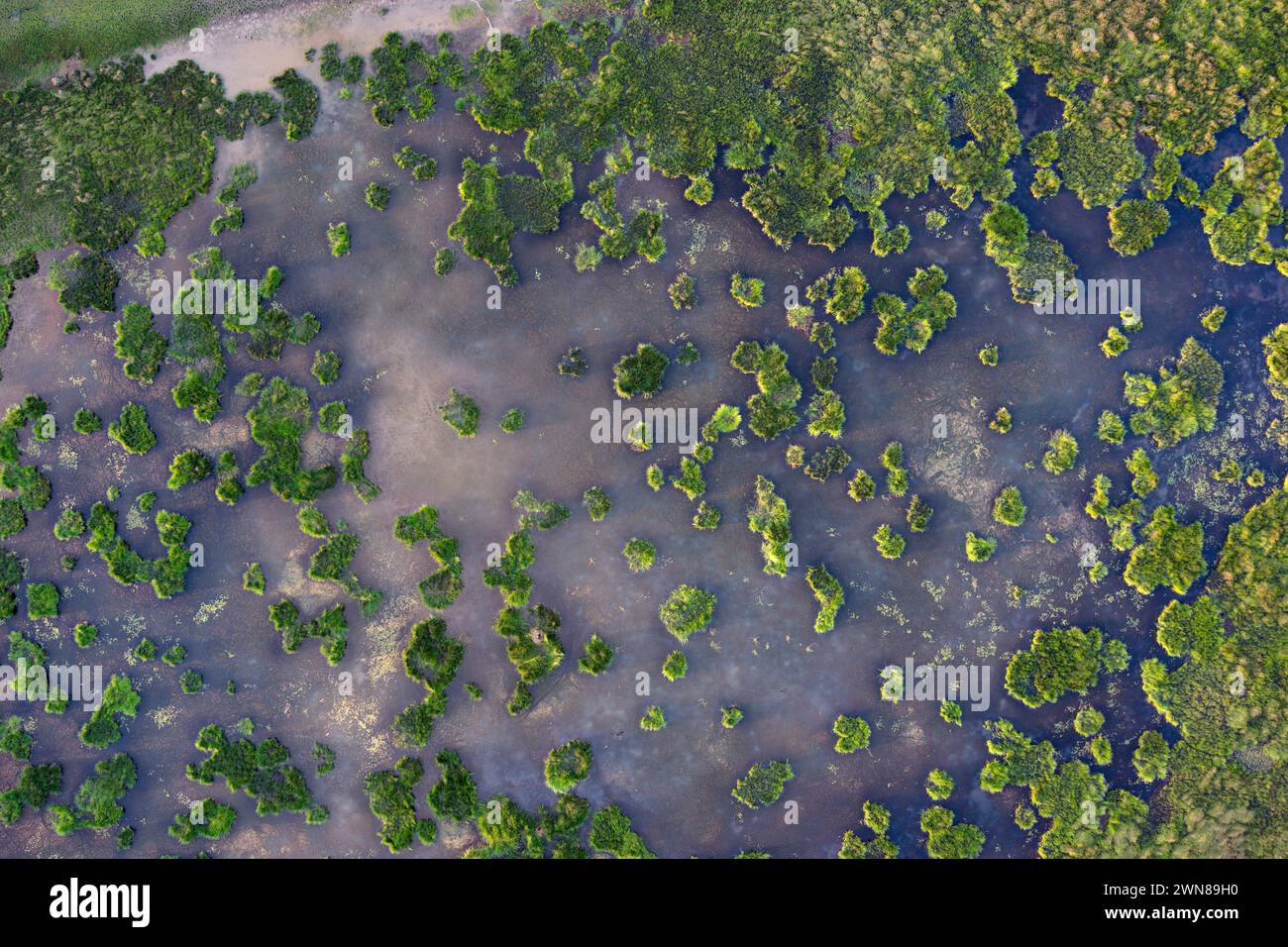Vue aérienne des lagunes Chain sur Palm Tree Creek près de Taroom Queensland Australie Banque D'Images
