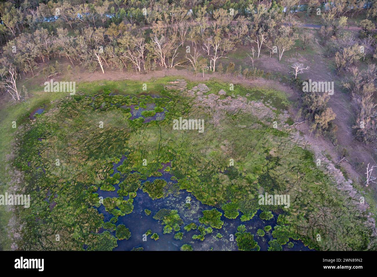 Lagunes en chaîne près de Taroom Queensland Australie Banque D'Images