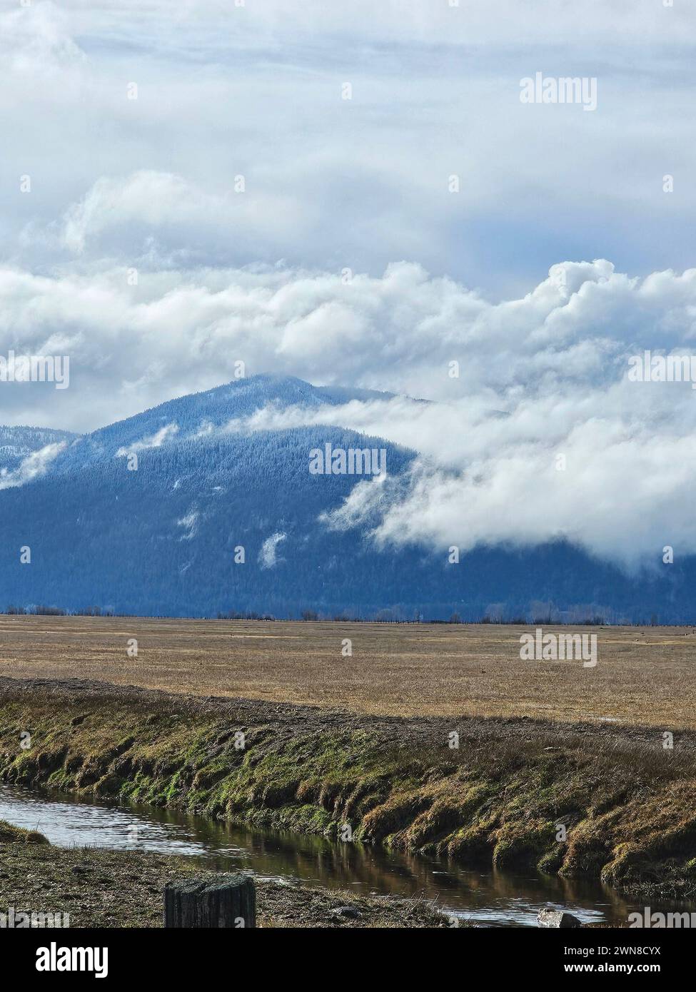 La belle montagne se cachant derrière les nuages et un large champ Banque D'Images