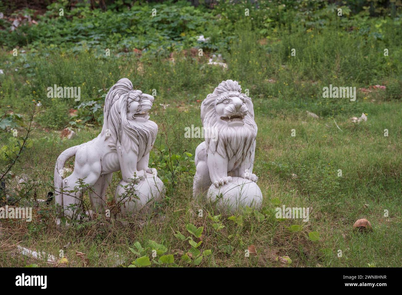 Statues de deux Lions gardiens chinois, ou Lions gardiens impériaux. Les statues sont posées dans un champ sauvage et abandonné. Banque D'Images