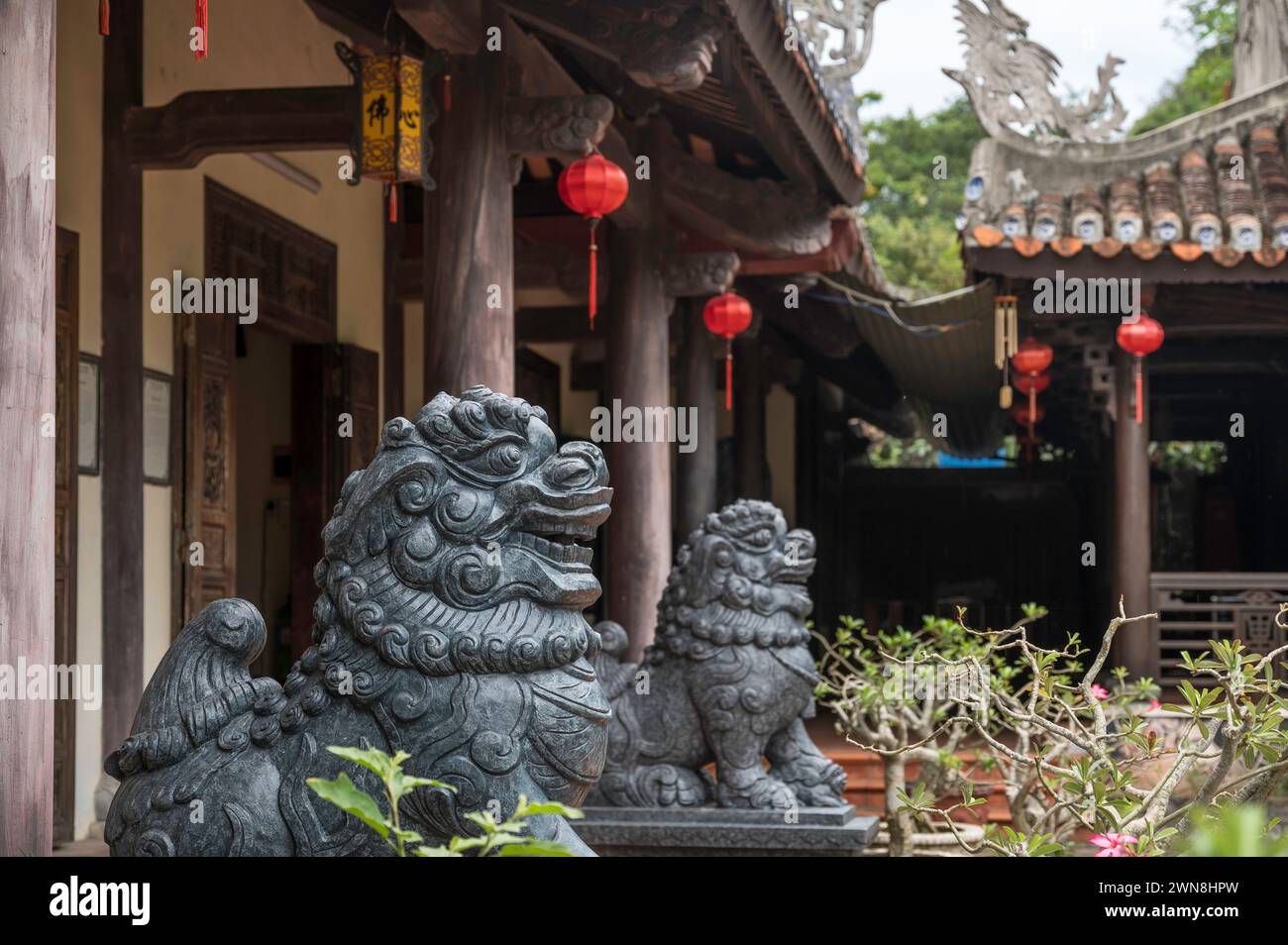 Gros plan sculpture du gardien du lion au temple bouddhiste sur le Marbel Mountian, au centre du Vietnam. Il y a des lanternes rouges suspendues à la structure Banque D'Images