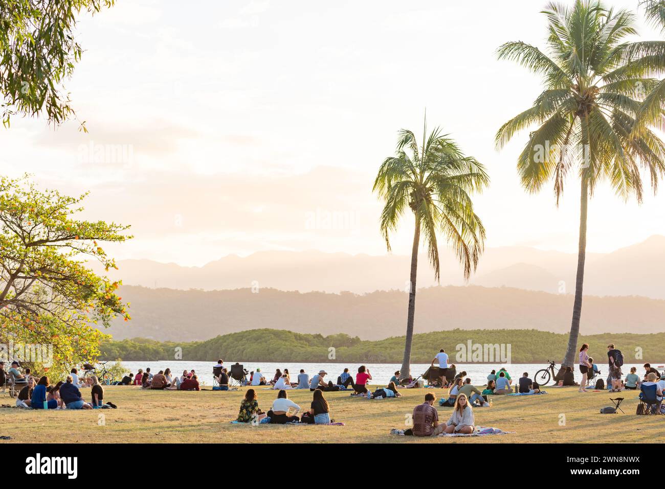 Les gens se sont rassemblés en fin d'après-midi dans le parc bordé de palmiers à l'entrée de Dixon Inlet et Port Douglas dans le nord du Queensland, en Australie Banque D'Images