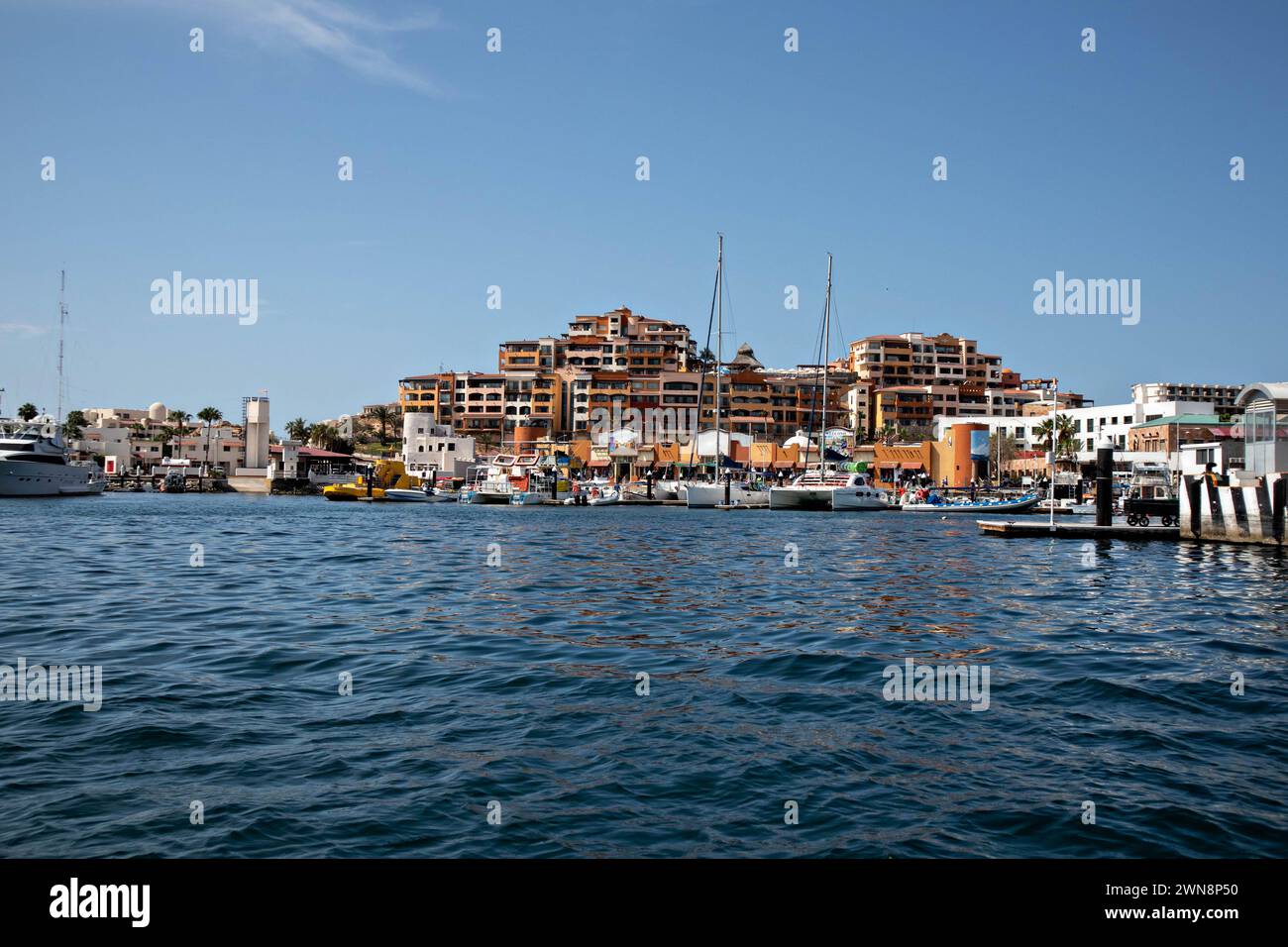 Beaucoup de grands yachts de fantaisie dans la marina à Cabo San Lucas Banque D'Images Beaucoup de grands yachts de fantaisie dans la marina à Cabo San Lucas Banque D'Images