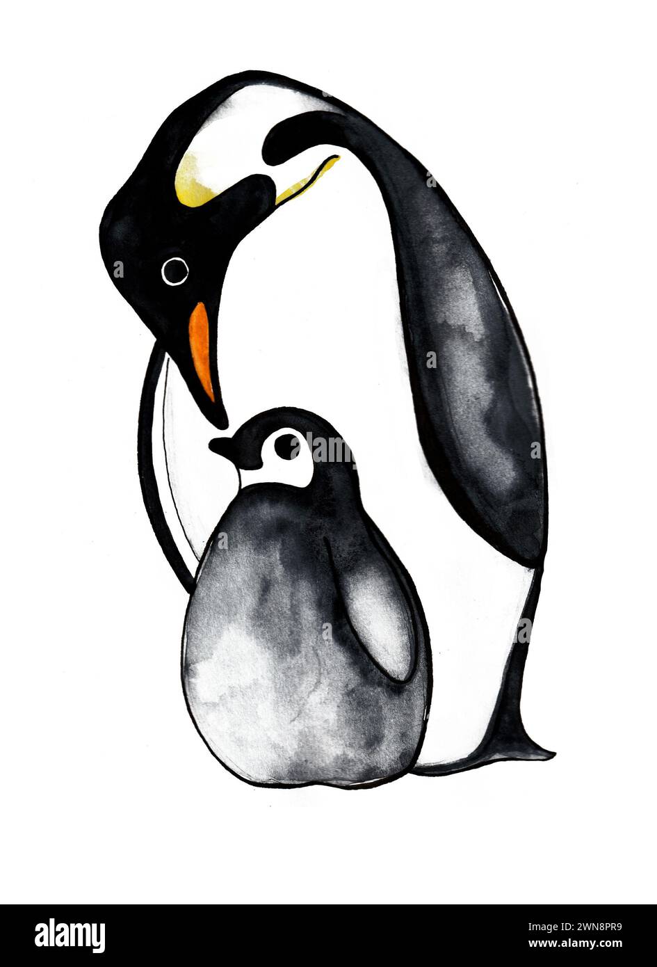 Illustration de deux pingouins isolés sur fond blanc. Un adulte et un enfant. Famille. Aquarelle. Le pingouin adulte plia la tête vers le HE de l'enfant Banque D'Images
