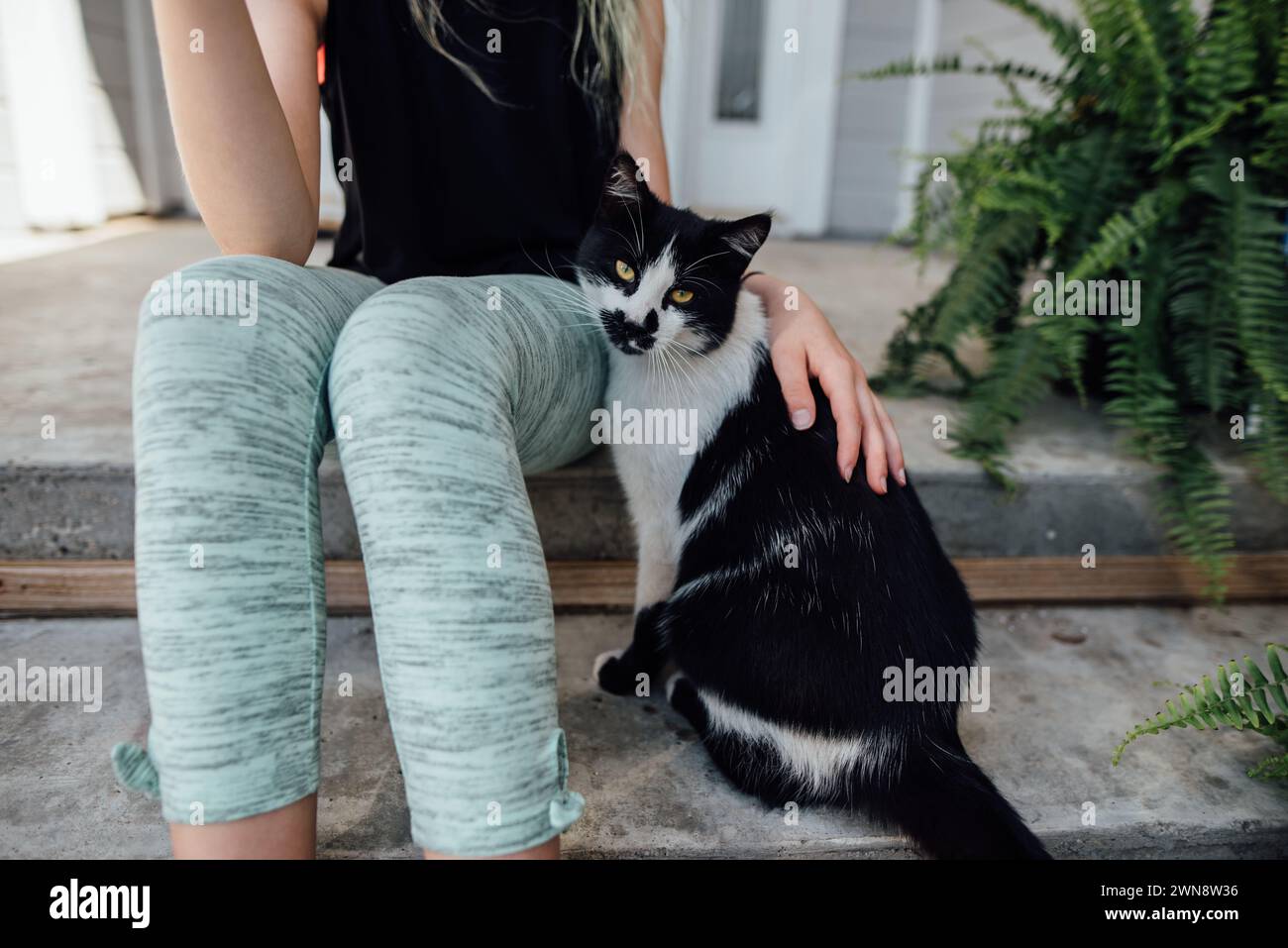 Gros plan de fille caressant le chat sur les marches avant à la maison en été. Banque D'Images