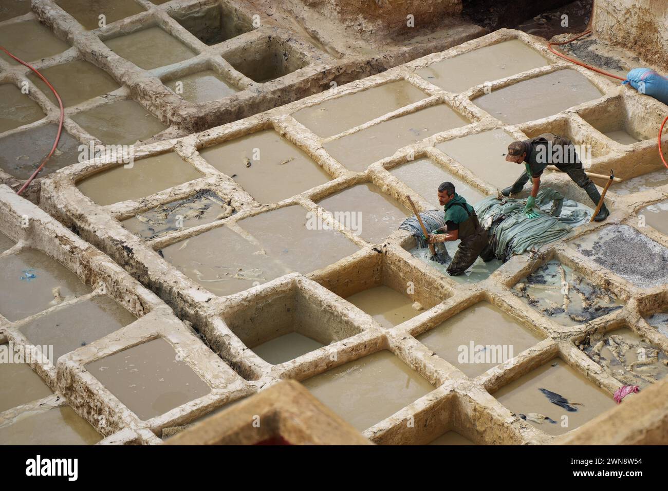 Ouvriers dans une tannerie, transférant des peaux d'un bain à un autre Banque D'Images