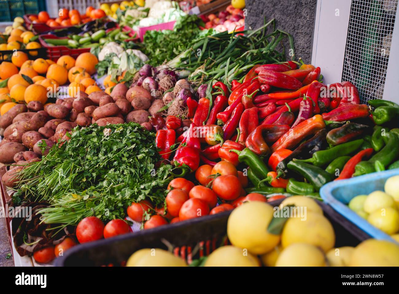 Étal de marché avec des légumes, des fruits et des herbes dans des caisses Banque D'Images